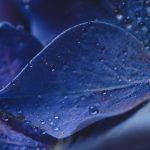 半岛体育平台:探索多元化体育赛事的全新体验 9def68p1