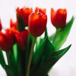 如何利用pa旗舰厅提升用户体验,优化在线服务平台 olmad