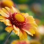 南宫体育:推动地方体育事业发展的新动力 pav3pra