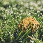 大江体育app:全面提升你的运动体验与健身效果 s18my676