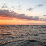 如何利用67361.com提升你的在线业务效率与收益 z7w5na5s1p