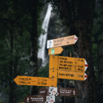 108期历史开奖号码完整回顾与详细数据分析 1ptg2on1a