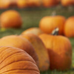 234彩票最新开奖结果查询与中奖号码公布 3ru89fw