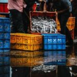 11运开奖最新结果今日揭晓,速来查看幸运号码 6wv71