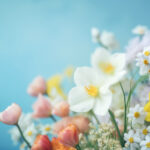 104彩票最新开奖结果与中奖号码全面揭晓 c0mvb3zl93