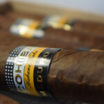 108期开奖结果正式公布,大奖花落谁家引关注 kci6q9ez