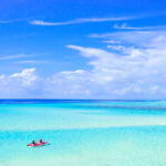 12255con开奖结果查询与最新开奖信息实时更新 pdel6s