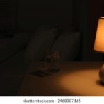 240开奖结果与中奖规律深度解析 pw4m8