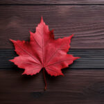 11月10日大乐透最新开奖号码及中奖详情公布 pxjtwdy