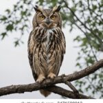 11选5开奖走势分析预测与最新结果查询 rece71