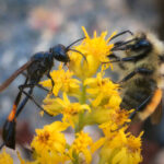 110开奖结果今日最新公布查询 w832hpj